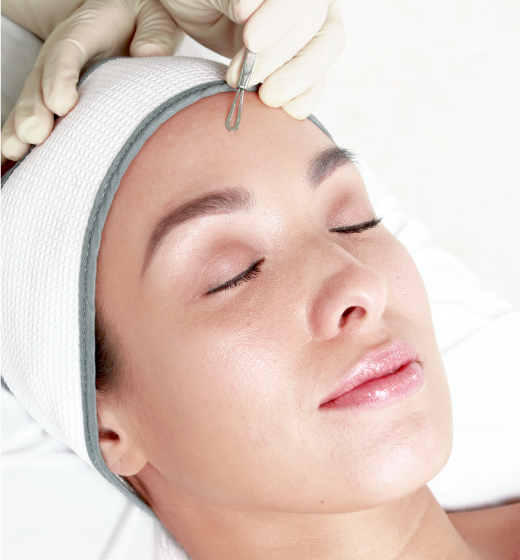 Belo Botanicals Facial